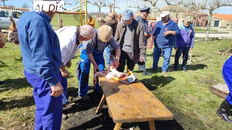 Fiesta de la Matanza Tradicional en Cerezal de Peñahorcada / CORRAL