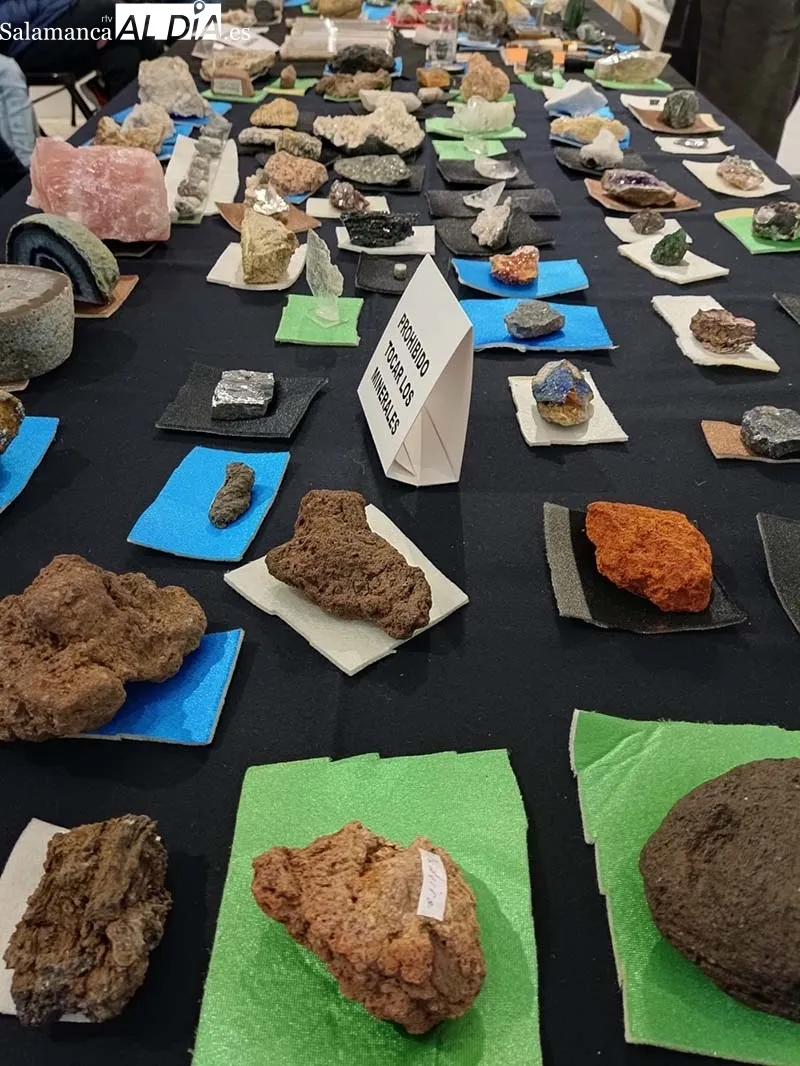 Foto 3 - Un taller sobre minerales que asombra a los j&oacute;venes de B&eacute;jar