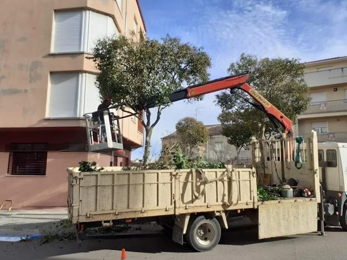 Foto 4 - El Ayuntamiento de Alba de Tormes presenta el parte de infraestructuras y jardiner&iacute;a&nbsp;