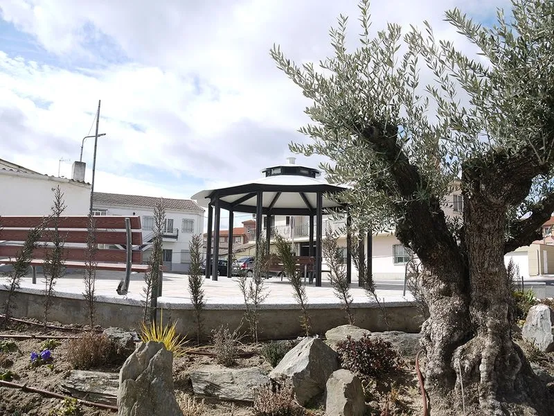 Foto 4 - La plaza de la Cilla de Carbajosa ya luce sus mejores galas