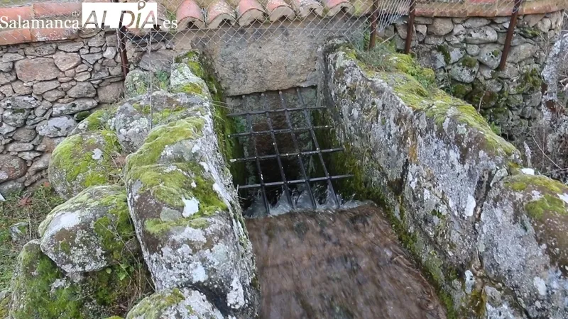 Prueba de funcionamiento del Molino la Luisa de Vilvestre / CORRAL