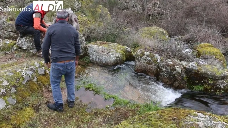 Prueba de funcionamiento del Molino la Luisa de Vilvestre / CORRAL