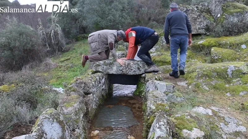 Prueba de funcionamiento del Molino la Luisa de Vilvestre / CORRAL