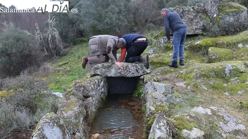 Prueba de funcionamiento del Molino la Luisa de Vilvestre / CORRAL