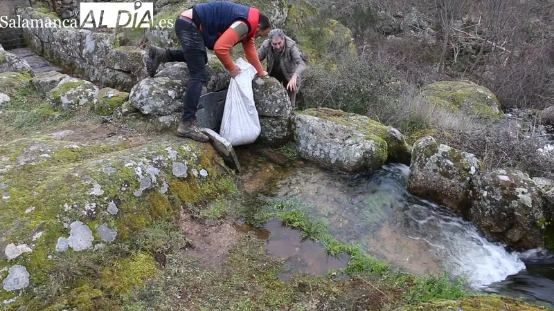 Prueba de funcionamiento del Molino la Luisa de Vilvestre / CORRAL