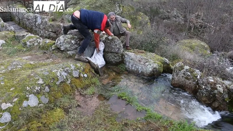 Prueba de funcionamiento del Molino la Luisa de Vilvestre / CORRAL