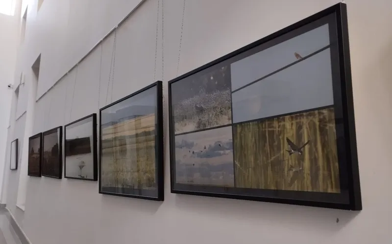 Foto 4 - El edificio san Nicol&aacute;s acoge en Vitigudino la exposici&oacute;n &lsquo;Llanuras de Salamanca&rsquo;