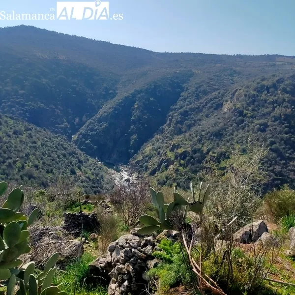 Foto 8 - Excelente jornada de senderismo en Sobradillo para pasar por el &lsquo;buraco&rsquo;