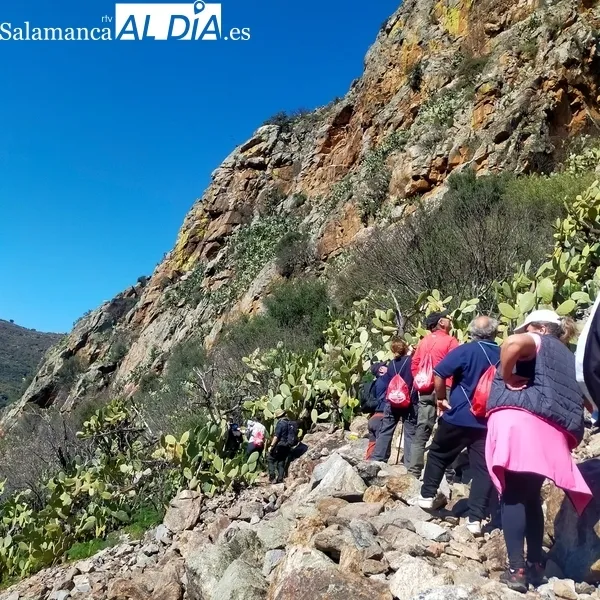 Foto 7 - Excelente jornada de senderismo en Sobradillo para pasar por el &lsquo;buraco&rsquo;