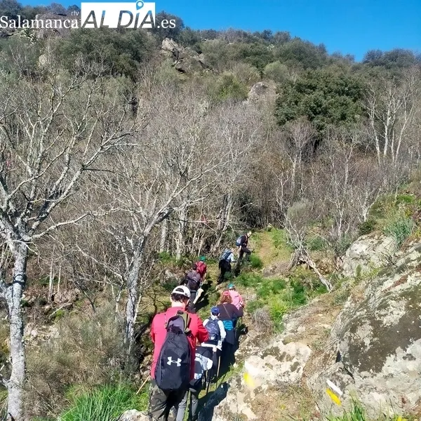 Foto 6 - Excelente jornada de senderismo en Sobradillo para pasar por el &lsquo;buraco&rsquo;