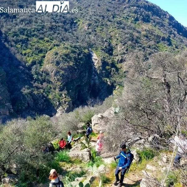 Foto 5 - Excelente jornada de senderismo en Sobradillo para pasar por el &lsquo;buraco&rsquo;