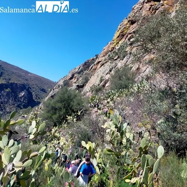 Foto 3 - Excelente jornada de senderismo en Sobradillo para pasar por el &lsquo;buraco&rsquo;