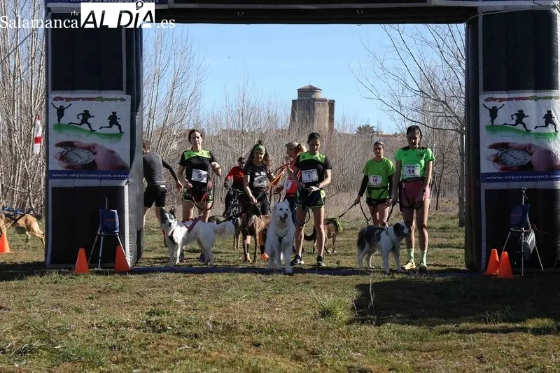 Foto 10 - El Canicross re&uacute;ne a cien participantes en Alba de Tormes