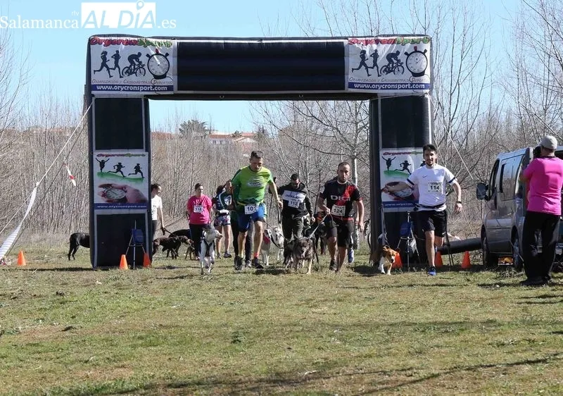 Foto 8 - El Canicross re&uacute;ne a cien participantes en Alba de Tormes