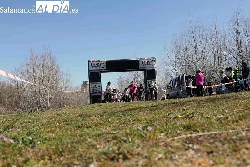 Foto 7 - El Canicross re&uacute;ne a cien participantes en Alba de Tormes