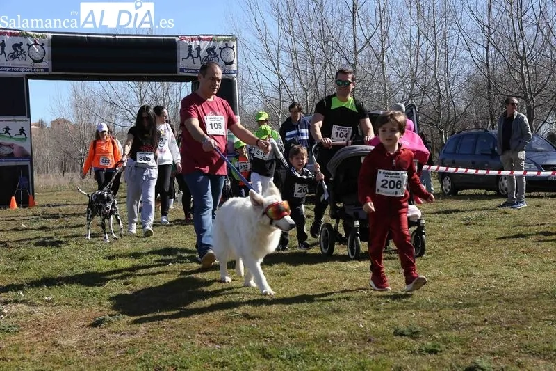 Foto 5 - El Canicross re&uacute;ne a cien participantes en Alba de Tormes