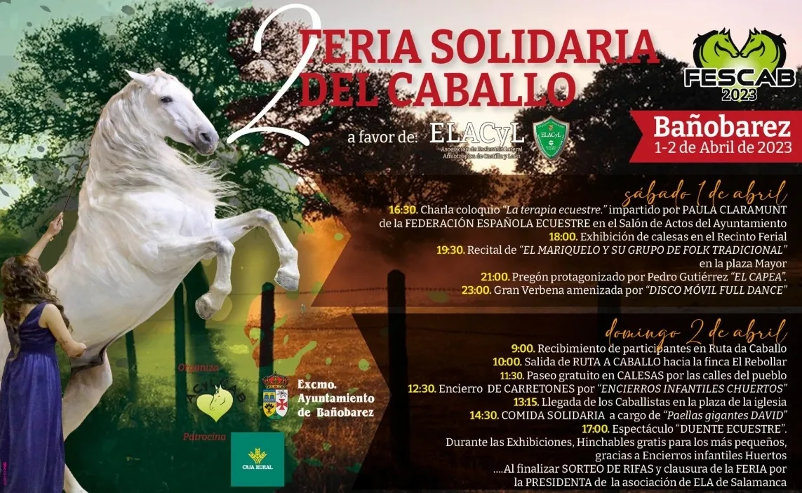 Foto 2 - Todo preparado para la II Feria Solidaria del Caballo este fin de semana en Ba&ntilde;ob&aacute;rez 