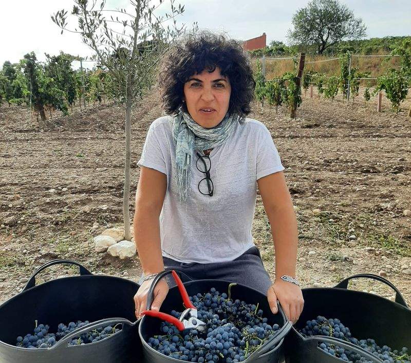Foto 4 - ‘El Canto de la Alondra’, un vino excepcional de la Ribera del Duero con “raíces salmantinas”