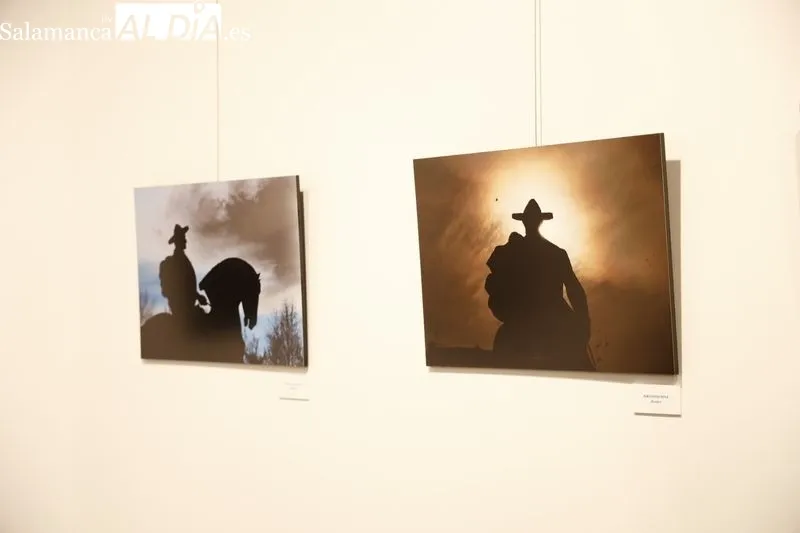Exposición homenaje a Venancio Blanco que se puede ver en el Casino de Salamanca. Foto de David Sañudo