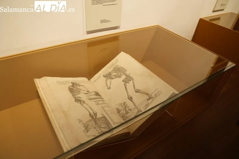 Muestra titulada “Ciencia y práctica”, que podrá visitarse del 22 de marzo al 28 de mayo de 2023 en la sala de exposiciones del Patio de Escuelas Menores. Foto de David Sañudo