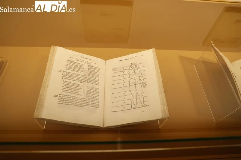 Muestra titulada “Ciencia y práctica”, que podrá visitarse del 22 de marzo al 28 de mayo de 2023 en la sala de exposiciones del Patio de Escuelas Menores. Foto de David Sañudo