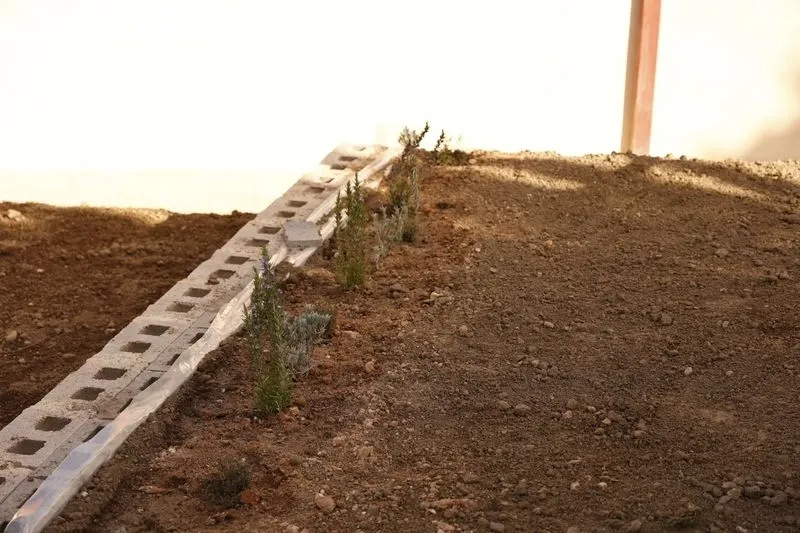 La consejera de Educación, Rocio Lucas, y el consejero de Medio Ambiente, Juan Carlos Suárez-Quiñones, visitan la renaturalización del patio del IES Francisco Salinas. Foto de David Sañudo