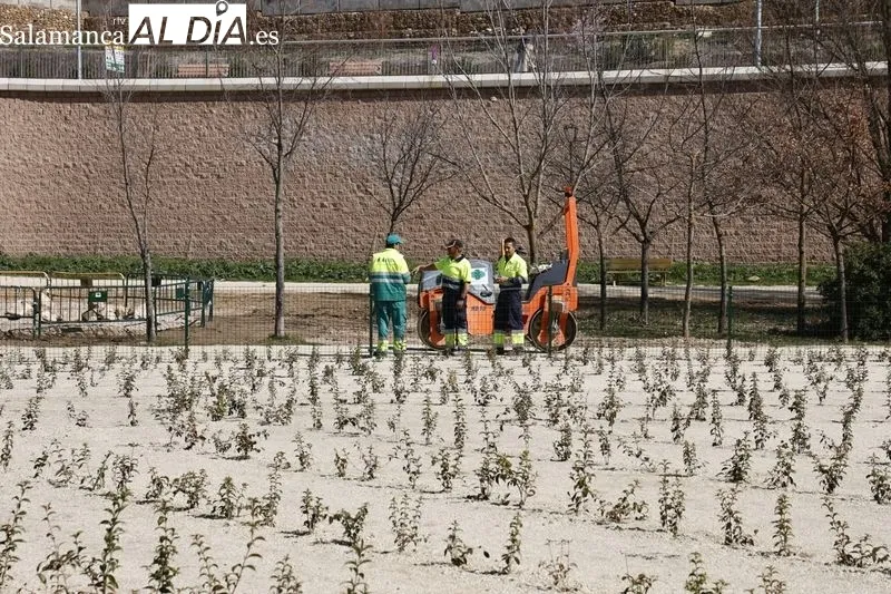 Visita del alcalde de Salamanca, Carlos García Carbayo, a los trabajos que convertirán al Parque de Huerta Otea en un Centro Ambiental de energías renovables. Foto de David Sañudo