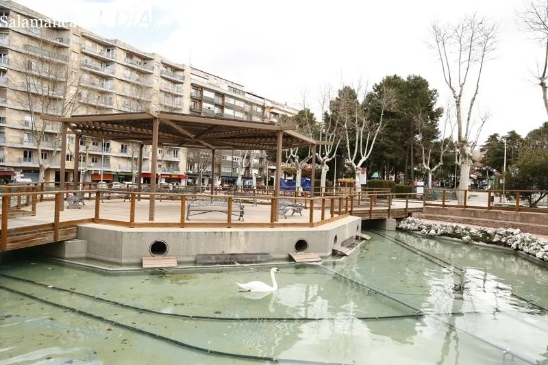 Estanque del parque de la Alamedilla, de nuevo, con los patos, ocas y cisnes. Foto de David Sañudo