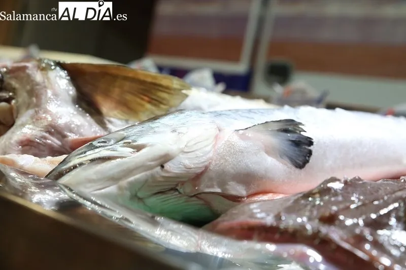 Foto 8 - Unide Market de Supermercados Cosme reabre su pescader&iacute;a