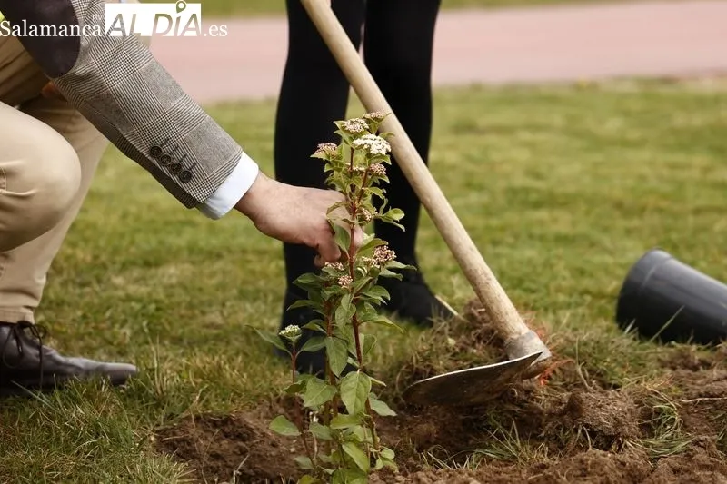 La concejala de Medio Ambiente del Ayuntamiento de Salamanca, Miryam Rodríguez, ha participado hoy en una plantación de especies  vegetales  junto a las pistas de atletismo de Salas Bajas. Foto de David Sañudo