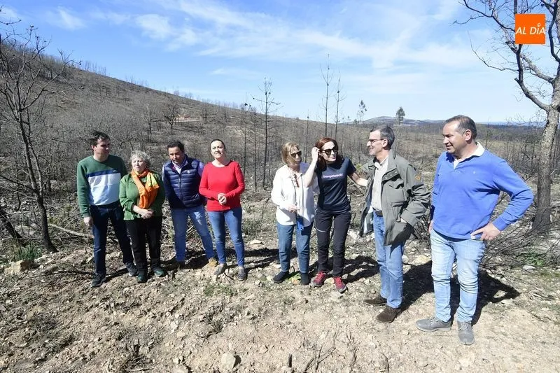 Foto 8 - La CHD ejecuta 2.800 albarradas y coloca 18.000 plantas en la zona afectada por el incendio de Monsagro