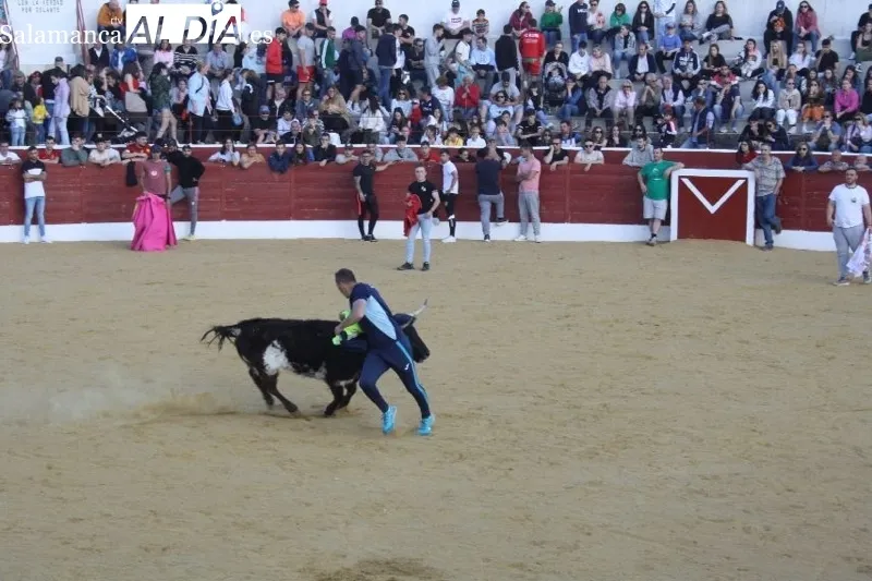 Foto 4 - Villoria, abarrotada para vivir el esperado Toro del Voto