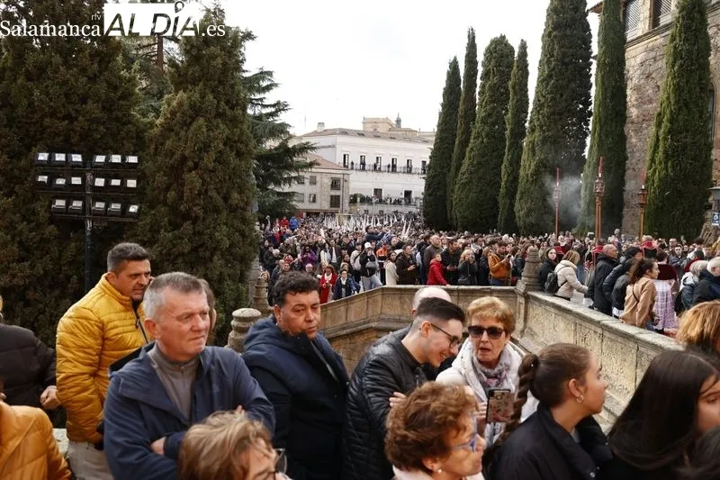 Numeroso público presencia la procesión de la Archicofradía del Rosario con Nuestro Padre Jesús de la Rendición. Fotos: David Sañudo