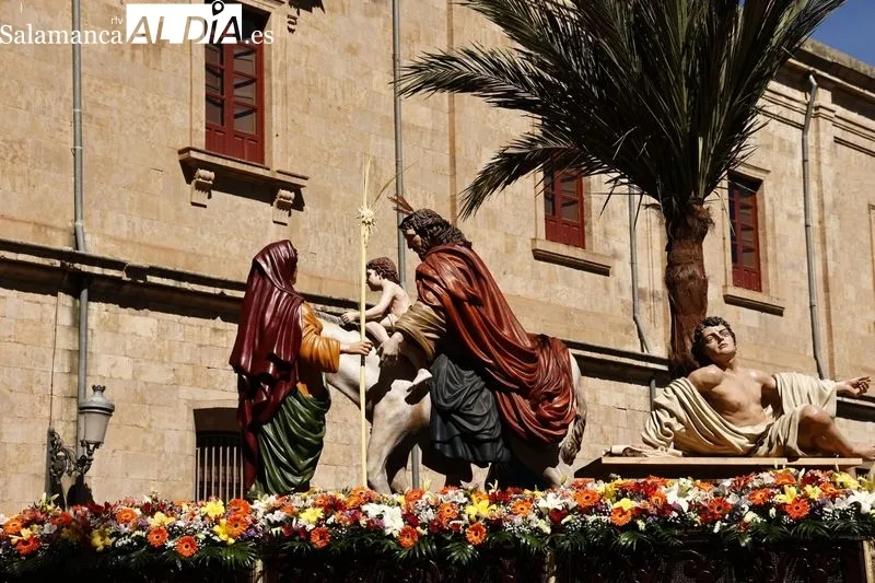 Foto 11 - Una multitud recibe a 'La Borriquilla' en Salamanca