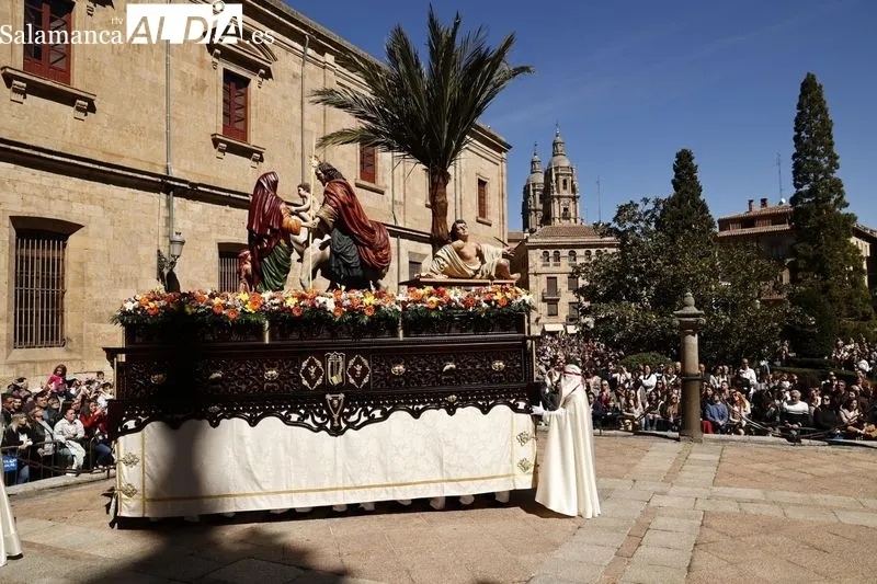 Foto 10 - Una multitud recibe a 'La Borriquilla' en Salamanca