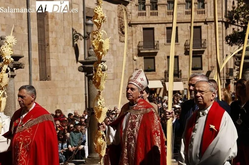 Foto 5 - Una multitud recibe a 'La Borriquilla' en Salamanca