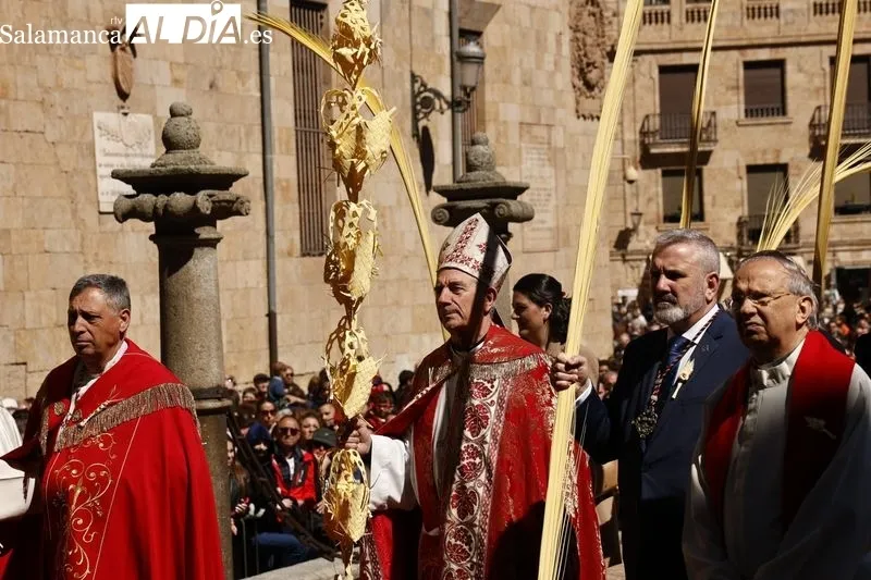Foto 4 - Una multitud recibe a 'La Borriquilla' en Salamanca