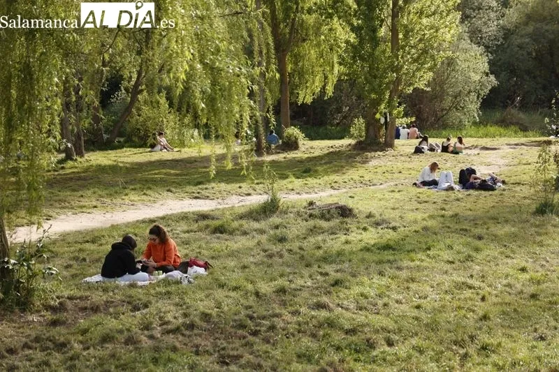 Foto 9 - Vuelven las buenas temperaturas y regresa el ambiente a la ciudad 
