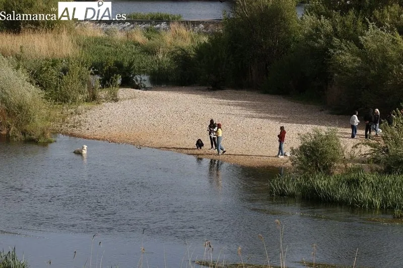 Foto 12 - Vuelven las buenas temperaturas y regresa el ambiente a la ciudad 