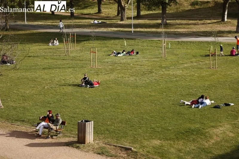 Foto 14 - Vuelven las buenas temperaturas y regresa el ambiente a la ciudad 