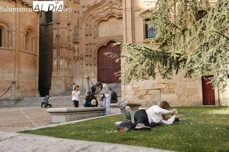 Foto 18 - Vuelven las buenas temperaturas y regresa el ambiente a la ciudad 