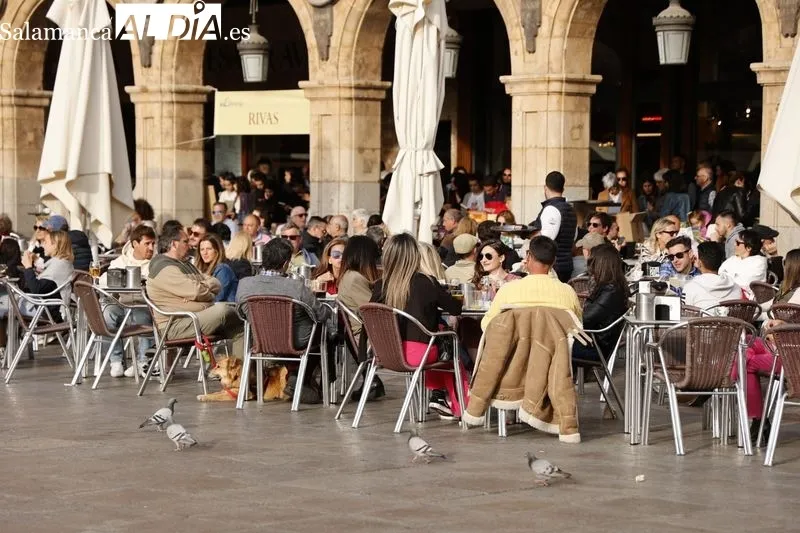 Foto 46 - Vuelven las buenas temperaturas y regresa el ambiente a la ciudad 