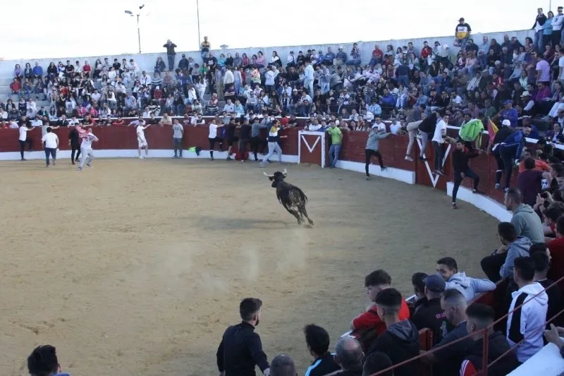 Foto 6 - Villoria, abarrotada para vivir el esperado Toro del Voto