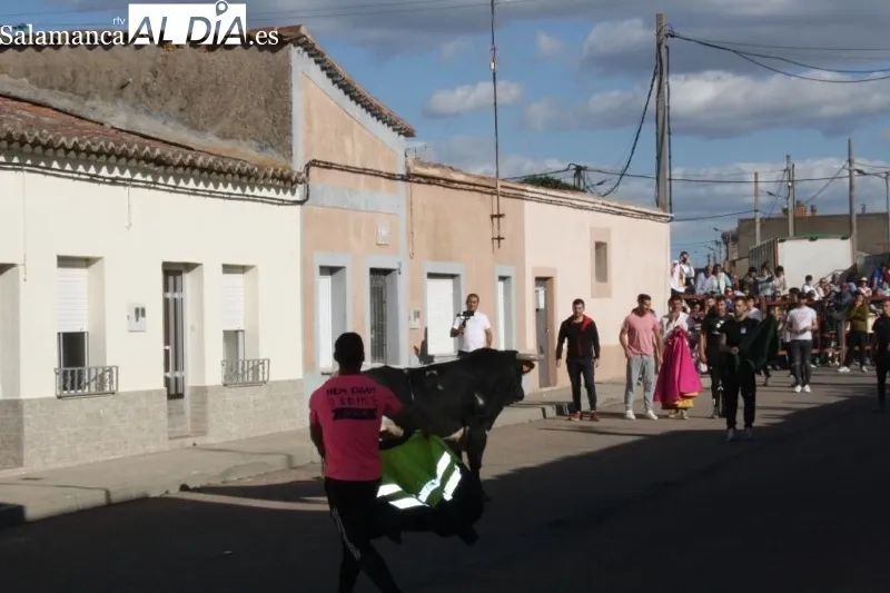 Foto 16 - Villoria, abarrotada para vivir el esperado Toro del Voto