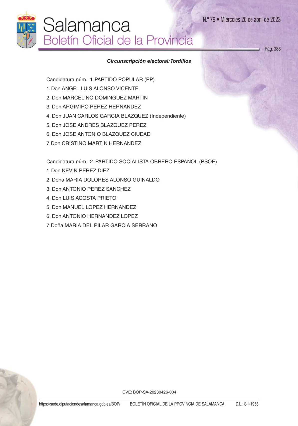 Foto 11 - Una por una: As&iacute; son todas las candidaturas en la comarca Pe&ntilde;aranda-Las Villas