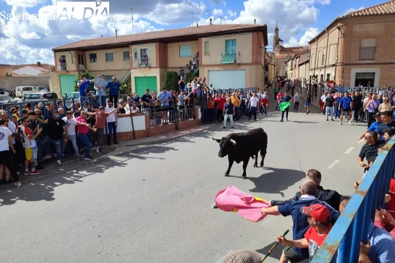 Cantalapiedra celebraba este sábado su I Toro de la Misericordia