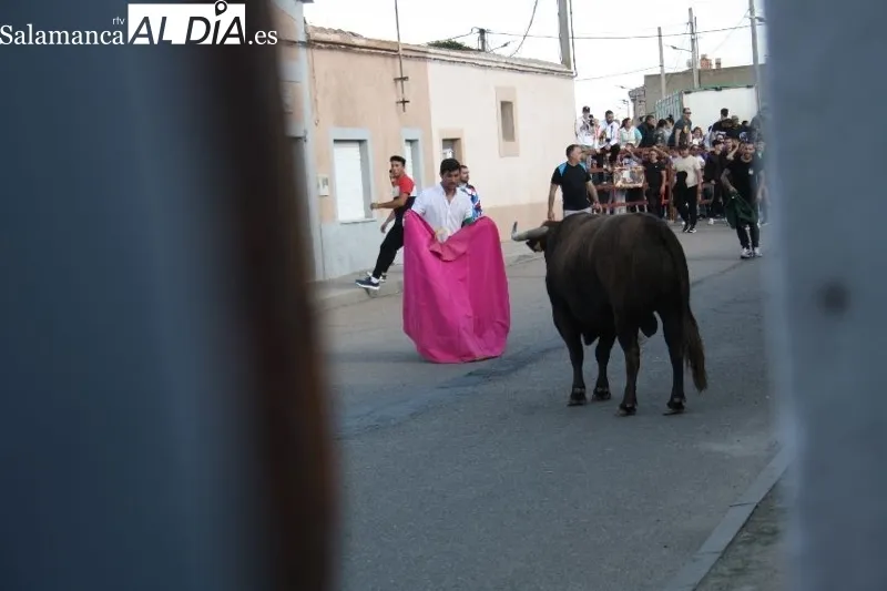 Foto 18 - Villoria, abarrotada para vivir el esperado Toro del Voto