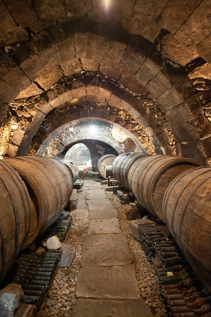 Foto 2 - Ruta del Vino Arribes, otra forma de descubrir