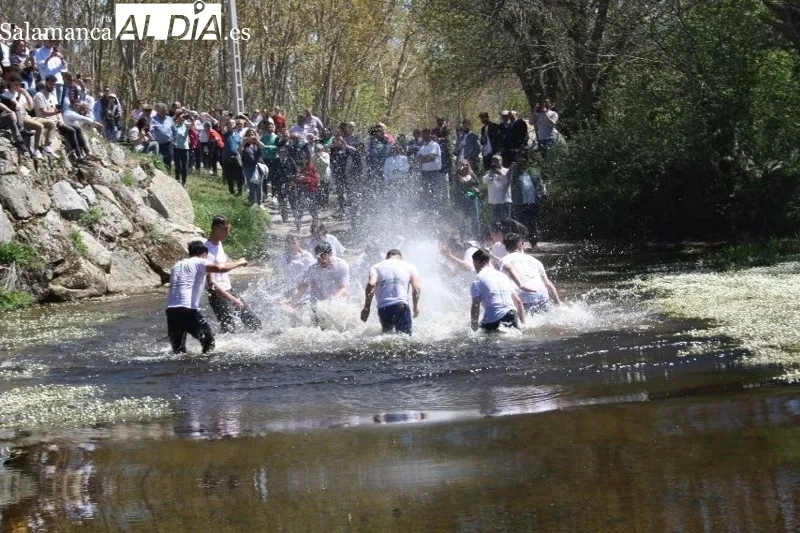 Foto 17 - Primaveral y esperada: As&iacute; se ha vivido la hist&oacute;rica romer&iacute;a de los Quintos de Alaraz este lunes de aguas 