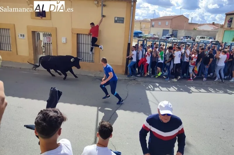 Cantalapiedra celebraba este sábado su I Toro de la Misericordia